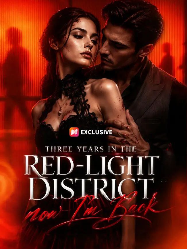 Three Years in the Red-Light District, now I'm Back poster